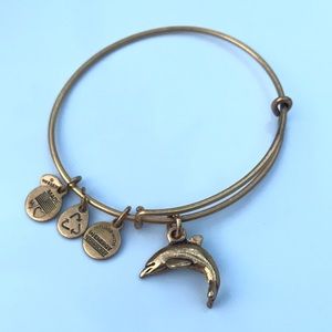 Alex & Ani dolphin bracelet
